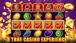 23win567